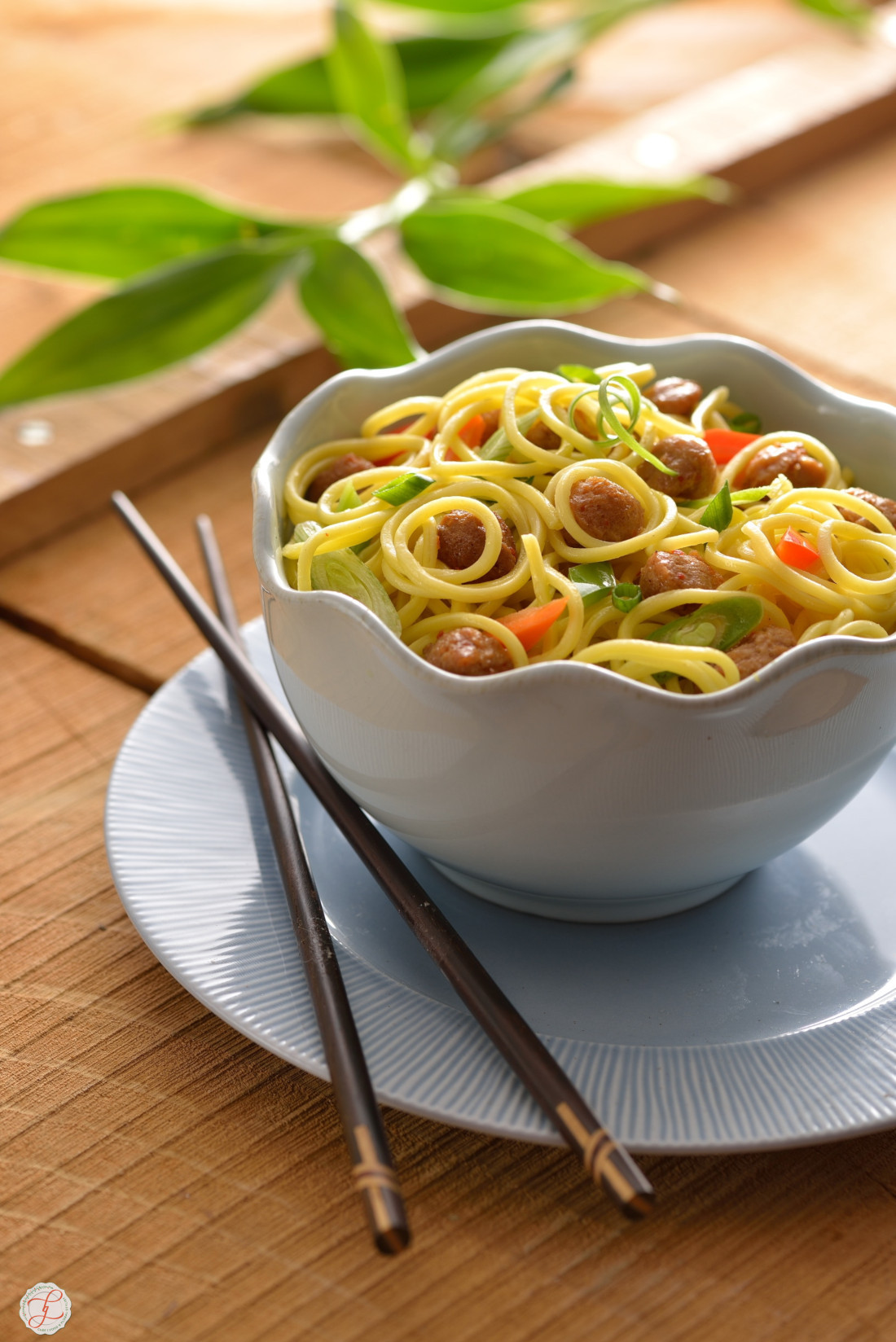 Foodstyling-Food-Soya soy chicken noodles